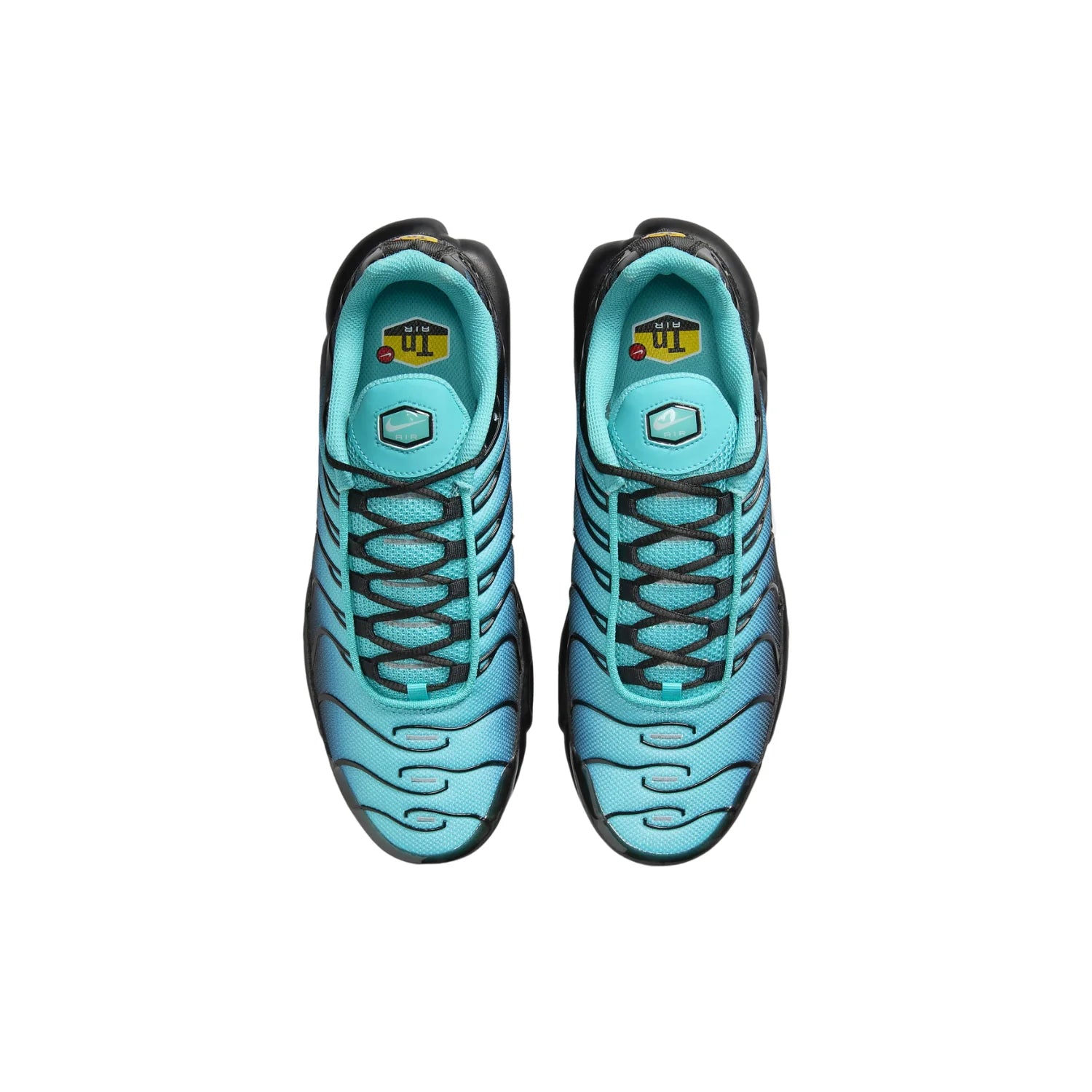 Nike Air Max Plus 1 (TN) 'Black Aqua Gradient'